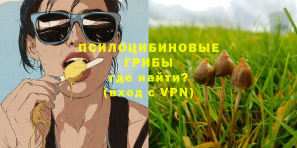каннабис Богородицк