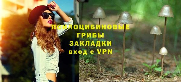 синтетический гашиш Богданович