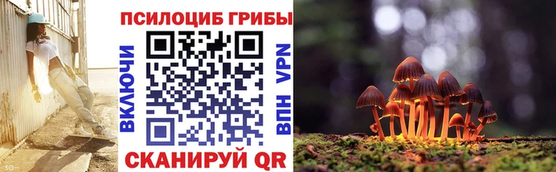 Галлюциногенные грибы мицелий  Армавир 